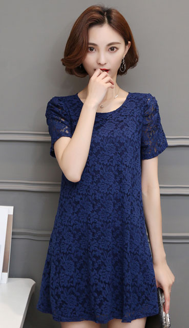 Lace Short Sleeved Elegant Dress