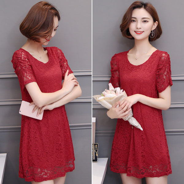 Lace Short Sleeved Elegant Dress