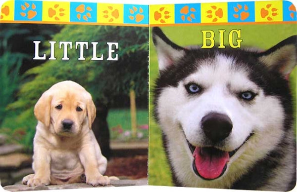 OPPOSITES Paw Board Book