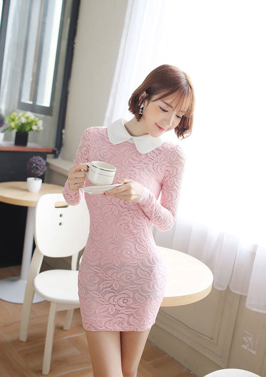 Lace Long Sleeved Collar Slim Dress