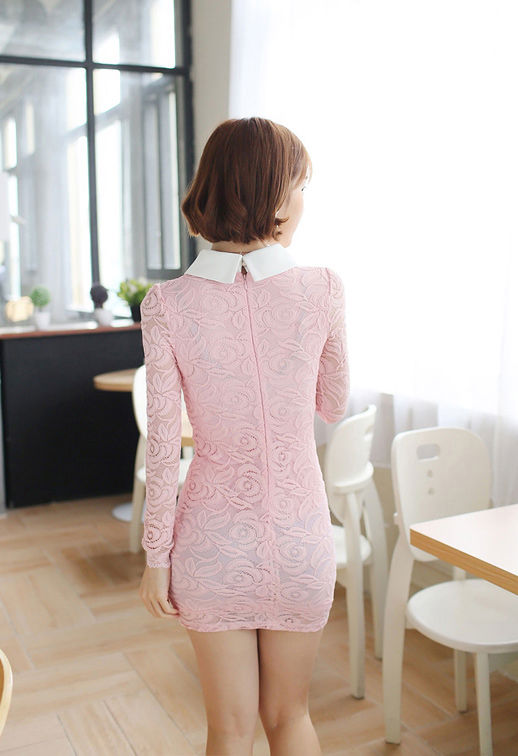 Lace Long Sleeved Collar Slim Dress