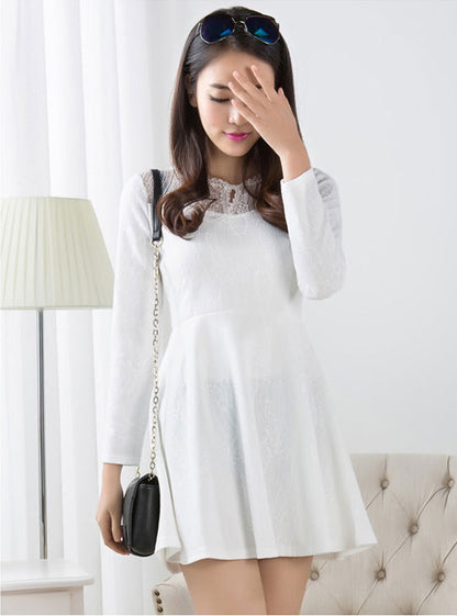 Lace Long Sleeved Dress