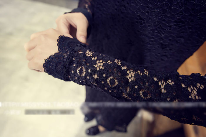 Lace Long Sleeved High Neck Dress