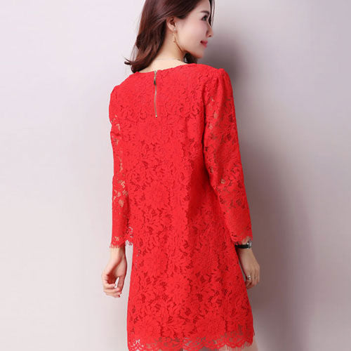 Lace Long Sleeved Korean Dress