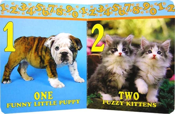 NUMBERS Paw Board Book